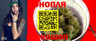 кокс Кингисепп
