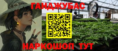 кокс Кингисепп