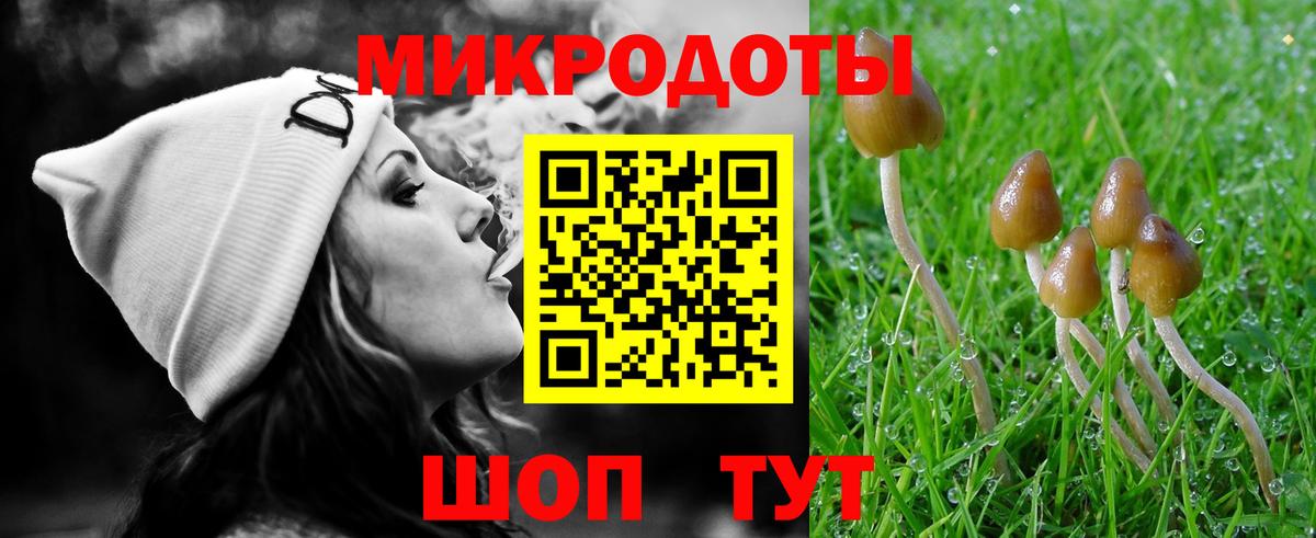 Псилоцибиновые грибы мухоморы Волоколамск